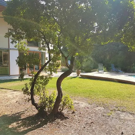 Maison Chaleureuse Avec Piscine Nîmes