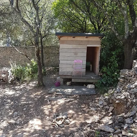 Maison Chaleureuse Avec Piscine